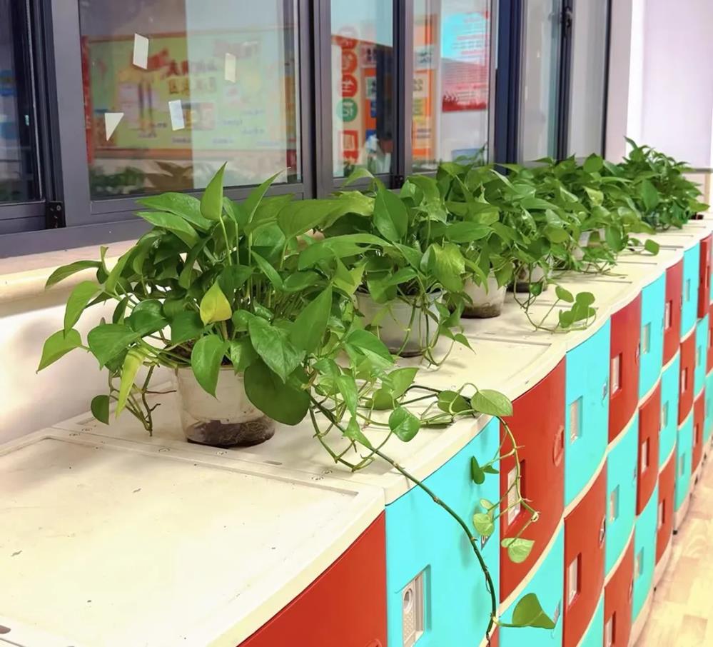 20087d0918b248db9ad17d32d6bfadf9.jpg 20087d0918b248db9ad17d32d6bfadf9.jpg